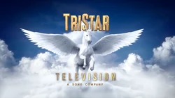 Tristar Television Summary Closing Logo Group Fandom