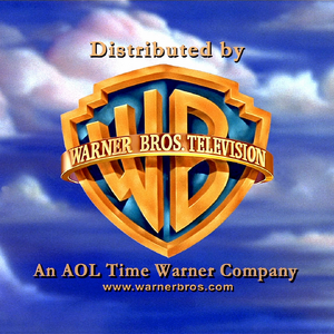 Warner Bros Domestic Television Distribution Other Closing Logo Group Wikia Fandom