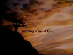 Monterey Video (October 1982-2004)
