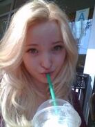 Dove drinking .jpg (14 KB)