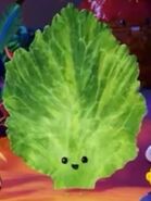 Lettuce