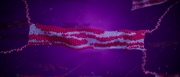 Bacon Molecules