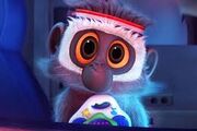 Steve Gummi Bear Eyes