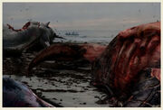 Cloverfield kill Whales