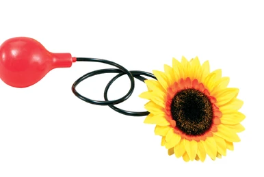 Chocolat (clown) | Clownopedia | Fandom