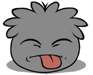 Grey Puffle Tongue