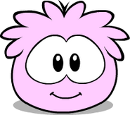 It's current look on the Puffle Card.