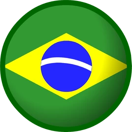 Brazil Flag