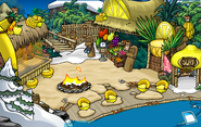 Cove