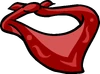 The , an example of a Neck Item.