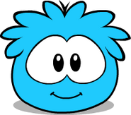 It's current look on the Puffle Card.