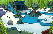 Card-Jitsu Party Forest