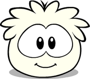 It's current look on the Puffle Card.