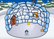 Gold Puffle and the Rainbow Puffle in a hacker's igloo.