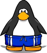 Blue Shorts PC.png (132 KB) On a Player Card.