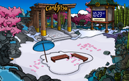 The location of the Cheese Pin during the Card-Jitsu Party.