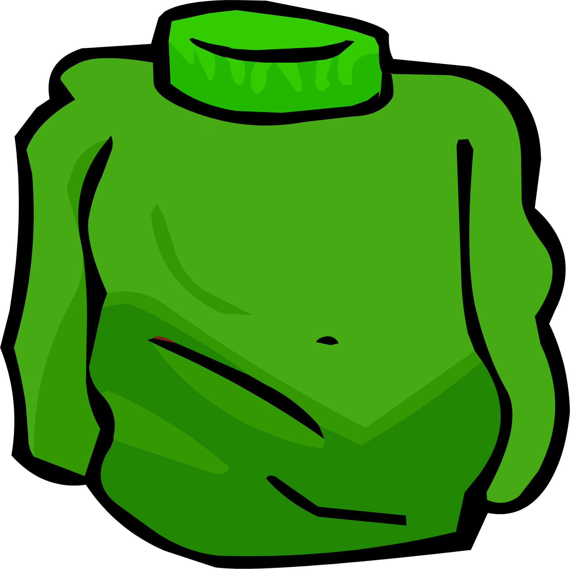 Green Turtleneck (ID 226) | Club Penguin Rewritten Wiki | Fandom