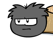 Mission2blackpuffle
