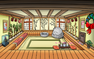 Hidden Dojo Room