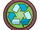 Recycle Pin