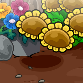Garden Background