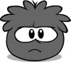New Black Puffle
