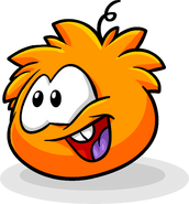 An orange puffle looking happy in the Adopt A Puffle catalog.