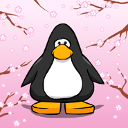 Blossom Background PC.png (80 KB) On a Player Card.