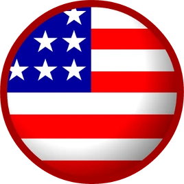United States Flag
