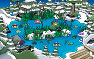 Frogs seen in the Forest during the Earth Day Party 2018 and the Earth Day Party 2020.