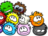 Puffle