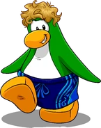 The Waves 4.png (473 KB) As seen in the Penguin Style Jul'17 catalog, along with The Waves.