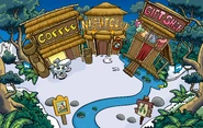 Town