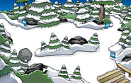The location of the pin.