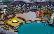 Cove (October 21 - October 28)