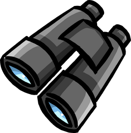 Binoculars