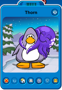 Thorn Player Card - Early October 2018 - Club Penguin Rewritten