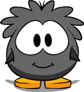 Black Puffle Costume PC.png (134 KB) On a Player Card.