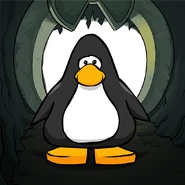 Ancient Cavern PC.png (117 KB) On a Player Card.