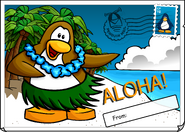 Aloha Postcard