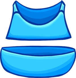 Aqua Bikini