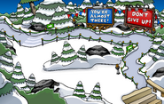 Penguin Games Forest.png (1.37 MB) Forest