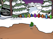 Party Rooms, Club Penguin Rewritten Wiki