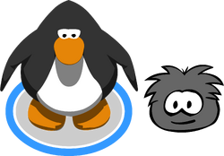 The Spriters Resource - Full Sheet View - Club Penguin - Black Puffle (End  Screen)