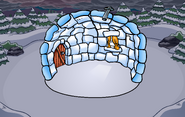 The temporary igloo background.
