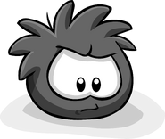 A Black Puffle in the Adopt A Puffle catalog.