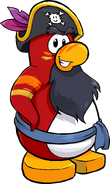 Rockhopper 'S Hat August 2012
