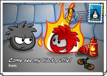 Black Puffle Postcard