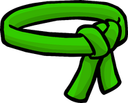 The Green Ninja Belt