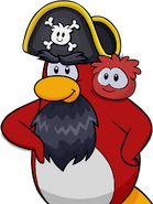 Rockhopper's artwork when receiving a message from him after entering the Swashbuckler Trading Post, Dinosaur Island, or Shipwreck Island for the first time. It was also shown when logging on for the first time and attempting to open a treasure chest too early during the Pirate Party.